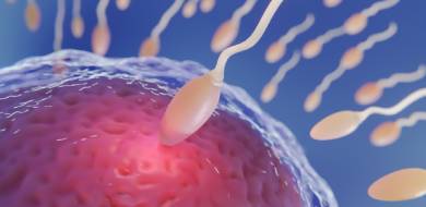 Ovarian-Stimulation