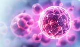 Stem cell regenerative therapy