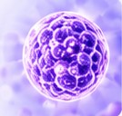 Embryo selection