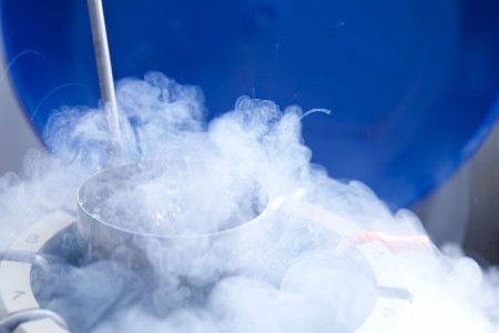 Vitrification