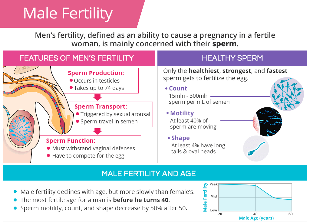 male-fertility